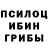 Галлюциногенные грибы Cubensis Dima Mitroshin