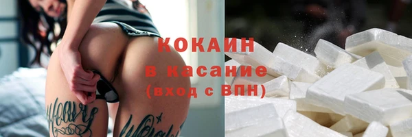 мяу мяу мука Аркадак