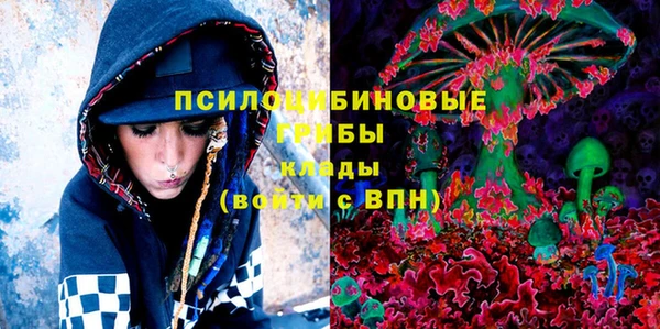 бошки Арсеньев